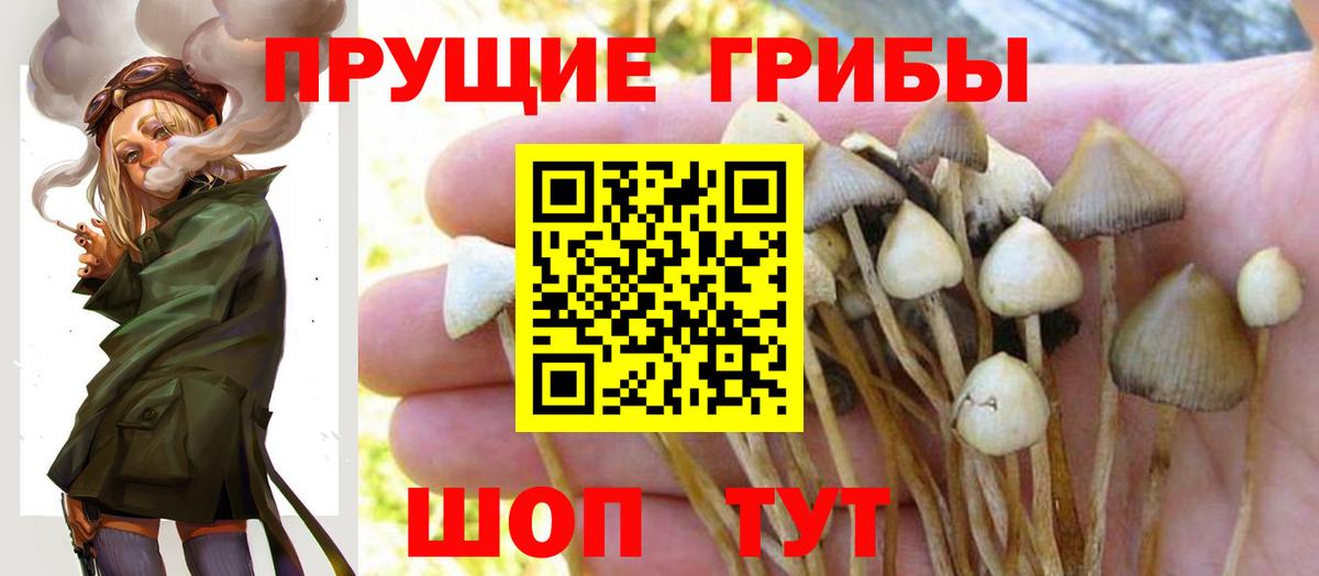 Галлюциногенные грибы Magic Shrooms  Вход с VPN  Сегежа 
